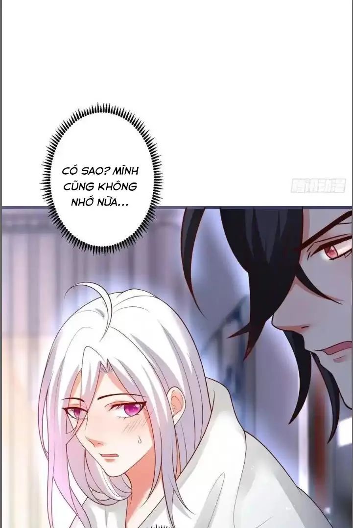 hắc đạo này có chút manh Chapter 241 - Trang 2